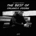 The Best Of Orlando Voorn (Explicit)