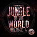 Liondub Presents: Jungle To The World Volume 4