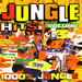 Jungle Hits Vol 3