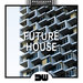 Future House Vol 2