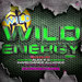 Wild Energy 2019 (Mixed By Alex K & Hard Dance Alliance)