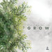 Grow EP