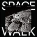 Space Walk