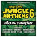 Deep In The Jungle Anthems 6 (Album Sampler)