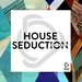 House Seduction Vol 22