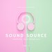 Sound Source (Musica Electronica) Vol 3