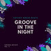 Groove In The Night (Catchy House Beats) Vol 2