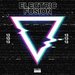 Electric Fusion Vol 13