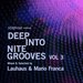 Deep Into Nite Grooves Vol 3