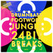 Drum N Bass Footwork & Jungle 24 Bit Breaks (Sample Pack WAV)