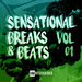 Sensational Breaks & Beats Vol 01