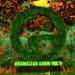 Chameleon Audio Vol 5