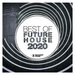 Best Of Future House 2020