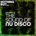 Nothing But... The Sound Of Nu Disco Vol 13