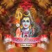 Goa Trance Vol 45