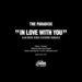 In Love With You (Alan Braxe Remix)