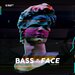 Bass In Your Face Vol 5