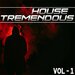 House Tremendous, Vol 1 - Selected House Music For You