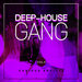 Deep-House Gang Vol 3