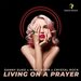 Living On A Prayer (Radio Edit)
