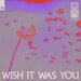 Wish It Was You (Extended Mix)