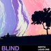 Blind Audio - Inertia - Liquid DNB (Sample Pack WAV)