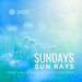 Sundays Sun Rays (The Chill Out Special Edition), Vol 1