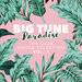 Big Tune Paradise - The Club House Selection, Vol 1