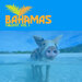 Bahamas Chillout, Vol 1