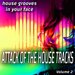 Attack Of The House Songs Vol 2 (House Grooves In Your Face)
