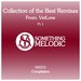 Collection Of The Best Remixes From: Vetlove - Part 1