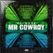 Klimate - Mr Cowboy EP