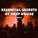 Essential Secrets Of Deep House, Vol 5