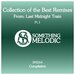 Collection Of The Best Remixes From: Last Midnight Train, Part 1