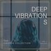 Deep Vibrations (The Groove Collection), Vol 2