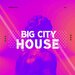 Big City House, Vol 1