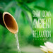 Slow Down Ambient Relaxation, Vol 2