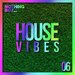 Nothing But... House Vibes, Vol 06