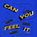 Can You Feel It (VIP Mix)