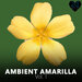 Ambient Amarilla, Vol 1