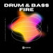 Drum & Bass Fire, Vol 01