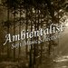 Ambientalist Soft Music Selection