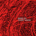 Birke Tm - Court Vision