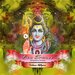 Goa Trance Vol 51