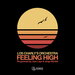 Feeling High (Re-Grooved By Juan Laya & Jorge Montiel)