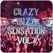 Crazy Ibiza Sensation Vol 7 (Best Selection Of Clubbing Balearic House & Tech House Tracks)