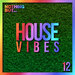 Nothing But... House Vibes, Vol 12