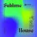 Sublime Tech House, Vol 21