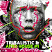Tribalistic & Afro House, Vol 1