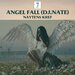 Angel Fall (DJ Nate Edit)